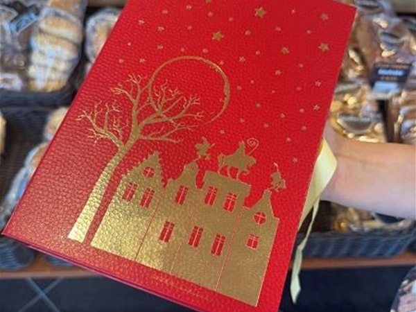 Sint boek
